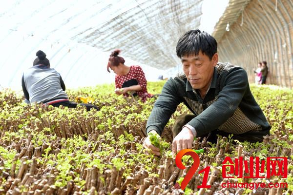 适合男人的创业项目有哪些?小成本创业的4个项目