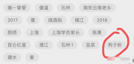求好心美女照顾狗狗吸引当地美女流量,这是人人都可做的套路,相当干的干货