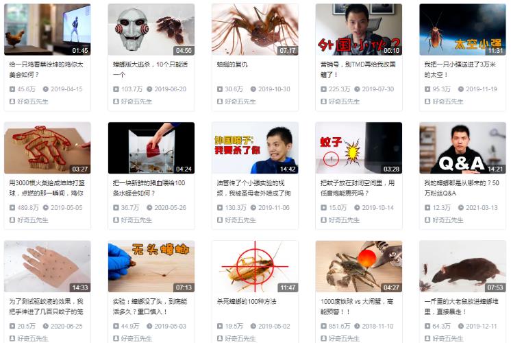 靠卖蟑螂药年赚几百万,自媒体电商应当如此!