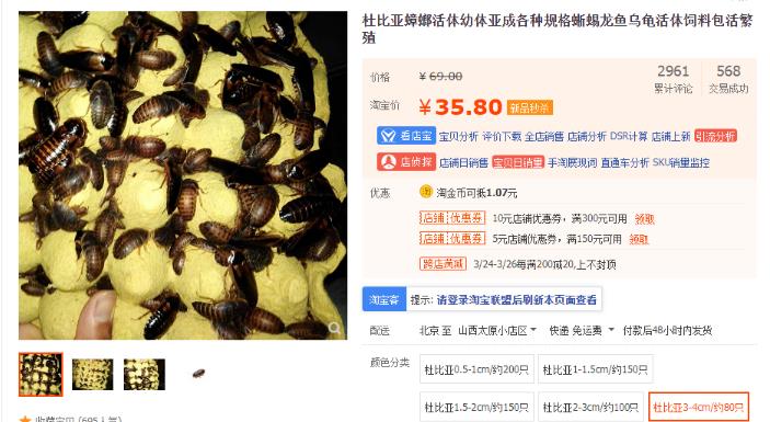靠卖蟑螂药年赚几百万,自媒体电商应当如此!