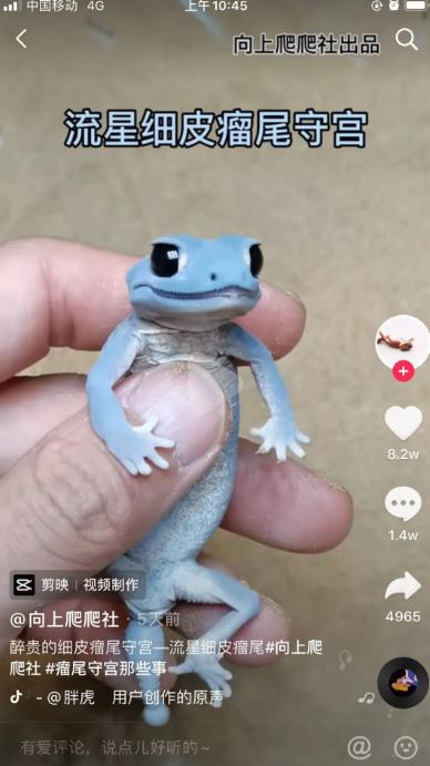 靠卖蟑螂药年赚几百万,自媒体电商应当如此!