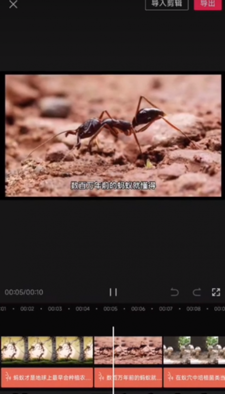 爆款冷知识短视频玩法:操作思路分享,每天10分钟轻松变现!