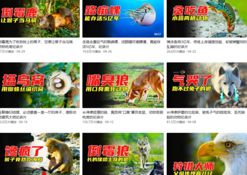 动物纪录片中视频+小程序推广项目,0粉丝0门槛就能入门,思路分享与你!