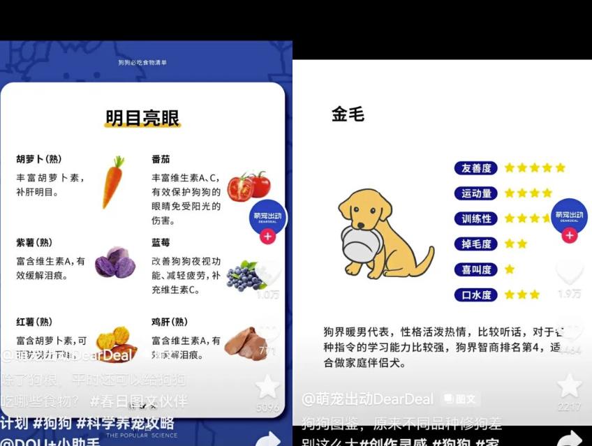 抖音种草号项目拆解:图文种草号实操教程分享,小白看完直接上手!