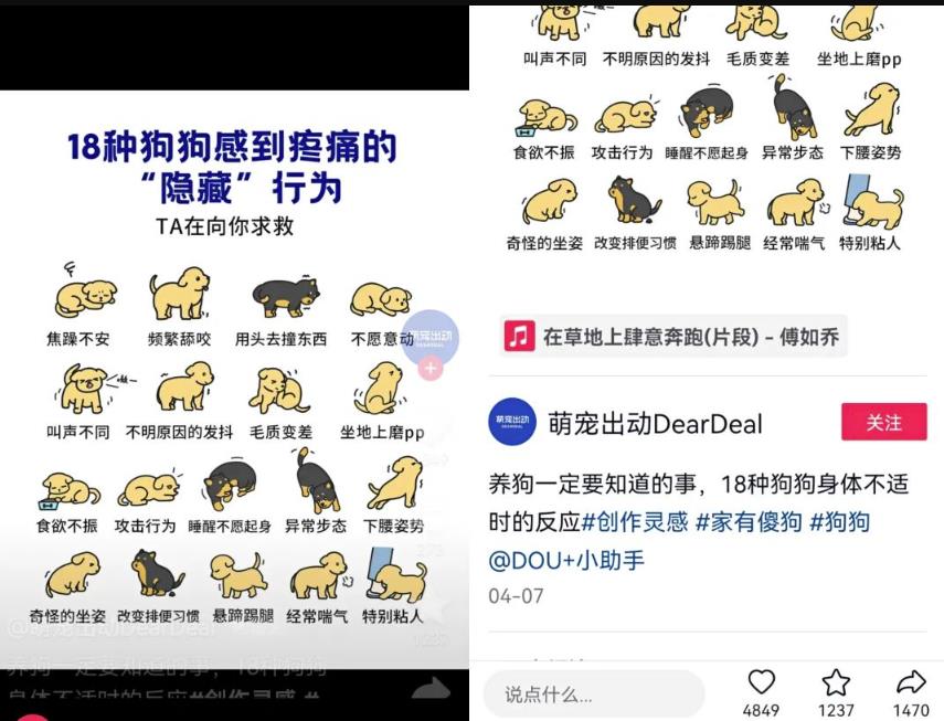 抖音种草号项目拆解:图文种草号实操教程分享,小白看完直接上手!