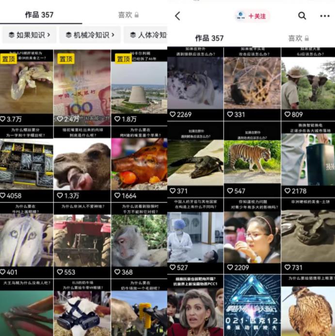 冷门短视频变现玩法思路:新手零门槛赚钱,冷知识无脑照搬变现项目