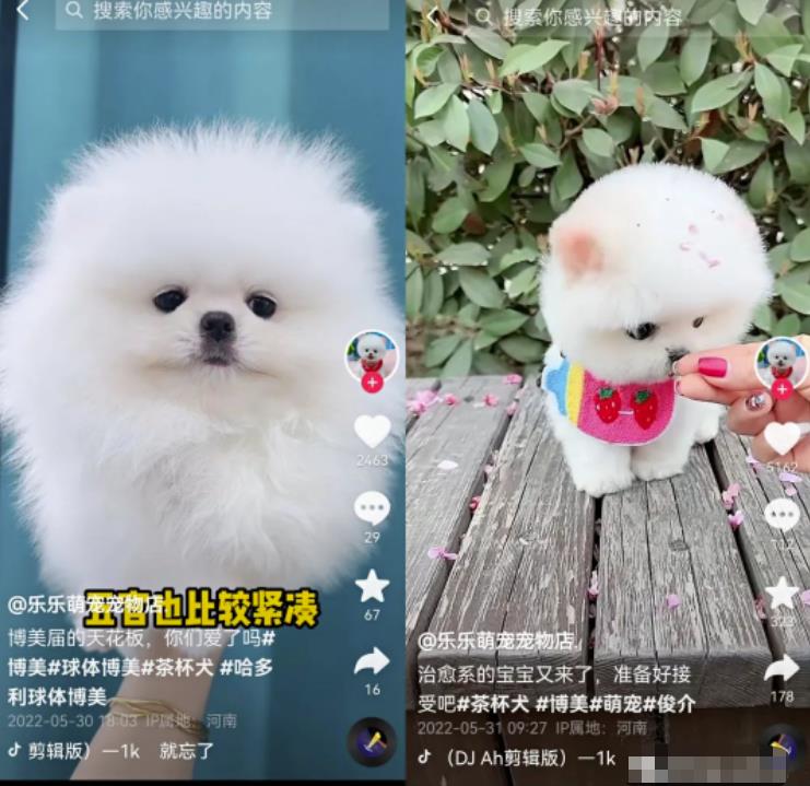 无脑短视频搬砖赚钱思路,轻松月入1W+,在家即可躺赚!