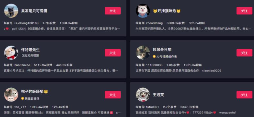 副业拍猫视频一公一母,日赚上万,人人可操作