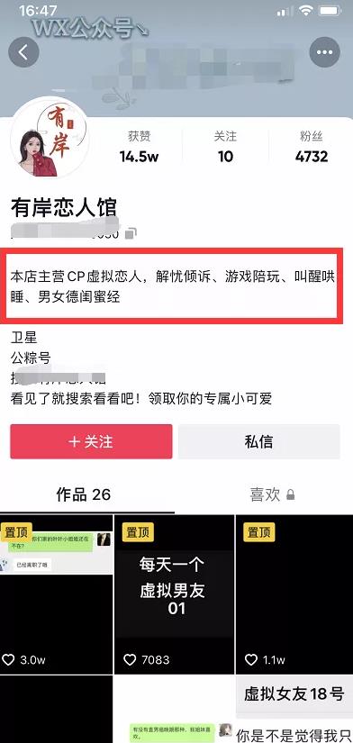 抖音小众蓝海虚拟项目,可批量矩阵式操作!
