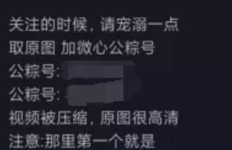本人实战月入万元的抖音壁纸号项目完整操作流程!