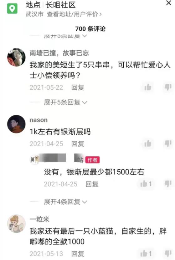 不用引流,一天赚1000+,很简单的闷声搞钱路子