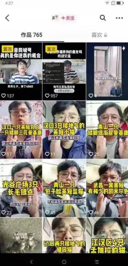 不用引流,一天赚1000+,很简单的闷声搞钱路子