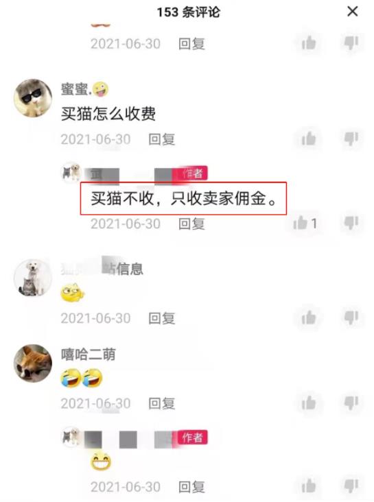 不用引流,一天赚1000+,很简单的闷声搞钱路子