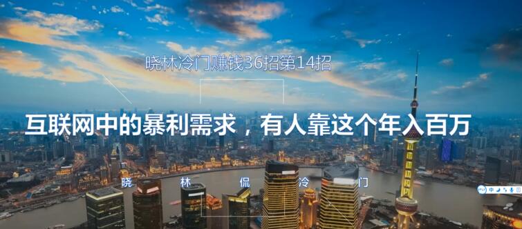 晓林冷门赚钱36招第14招互联网中的暴利需求,有人靠这个年入百万【视频课程】