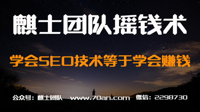 麒士团队摇钱术12:学会SEO技术等于学会赚钱【视频课程】