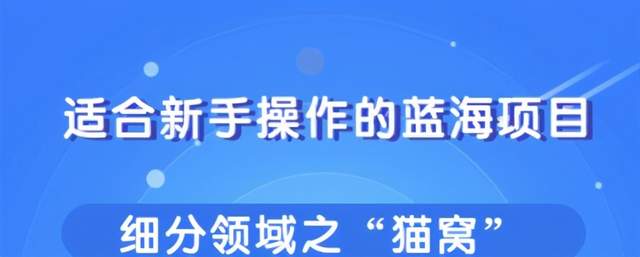 柚子团队内部课程:适合新手操作的细分蓝海项目,宠物赚钱的门道