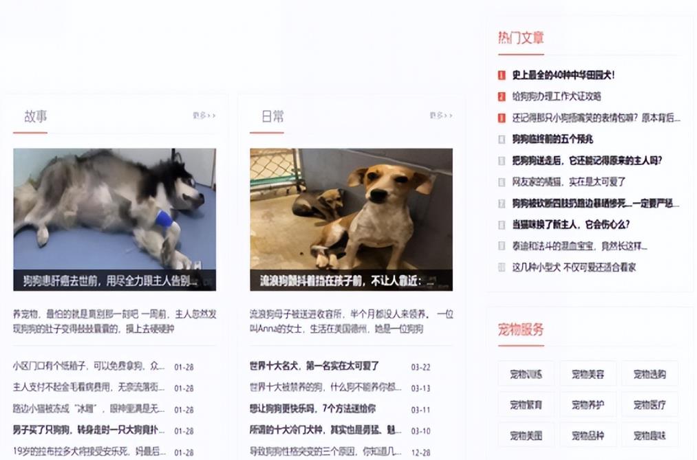 宠物号月挣10W+副业项目思维,适合新手矩阵放大,无偿分享给有缘人!