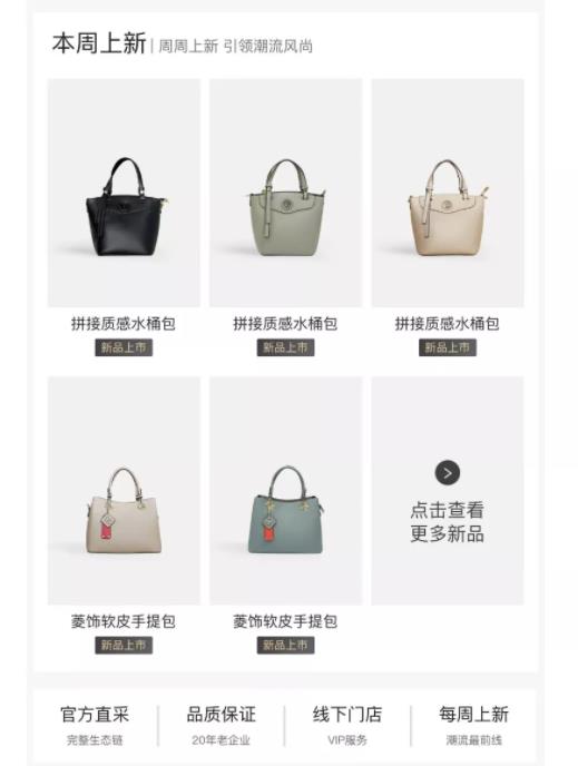 抓住女性心里，每月换新包月入上万