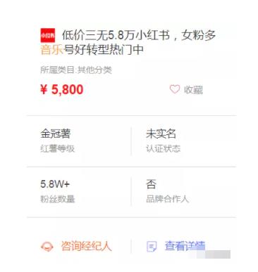 ​快速变现小红书副业赚钱项目，月增收入5000+