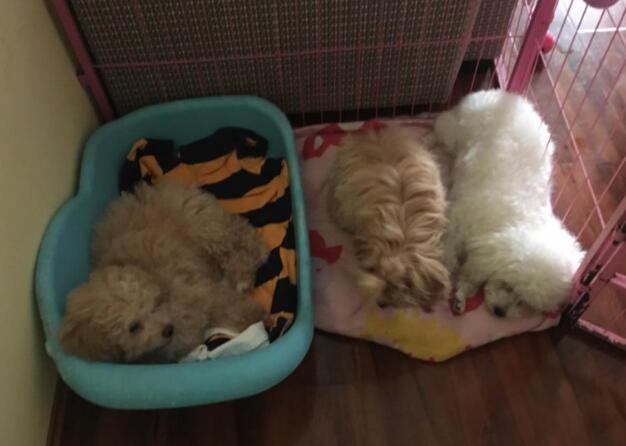 [适合没经验女性开的店]适合三十岁低成本创业项目推荐