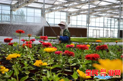 不愁销路的小型加工厂在农村走向致富的办厂项目4个分享给你