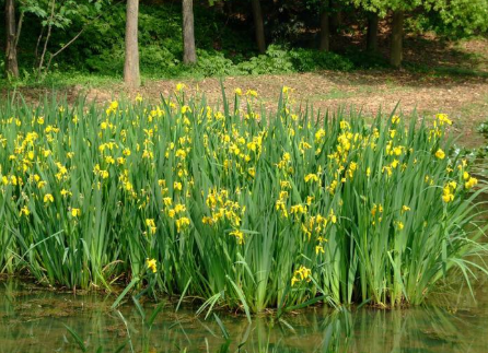 [穷人翻身唯一出路]10个流行创业的好项目闷声发大财