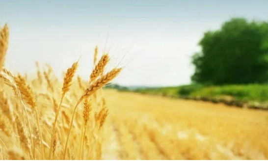 没人注意的暴利行业 适合女性开的五个低成本的店穷人赚钱门路