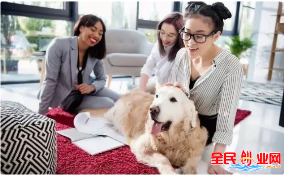 2023年有哪些适合年轻人的好项目投资小赚钱快的（小型致富项目）