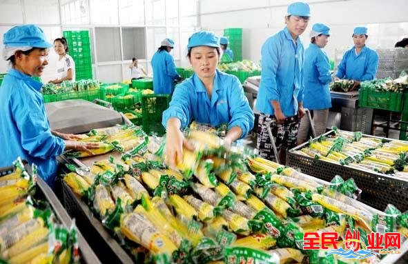 适合年轻人农村创业的小型加工致富项目（适合农村6个小型加工厂项目）