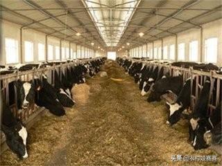 十大暴利养殖业（2023年农村养什么最赚钱的13个项目）