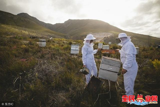 2023年农村十大暴利养殖业好赚钱（2023年现在养殖什么最赚钱？）