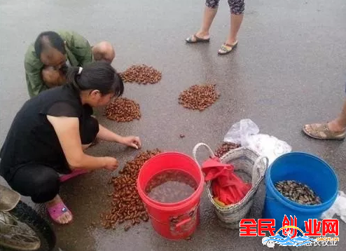 农村创业致富做什么好，最有前景的6个农村创业点子!