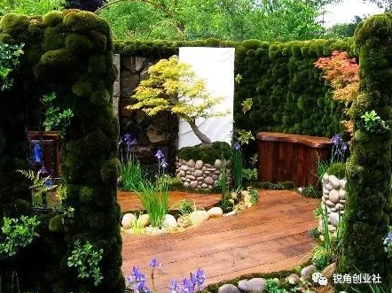 未来几年七大热门创业项目抓住机会大赚一笔！