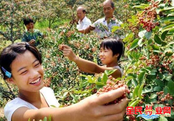 2023年农民种什么农作物最赚钱？种植一些冷门农作物或是经济作物