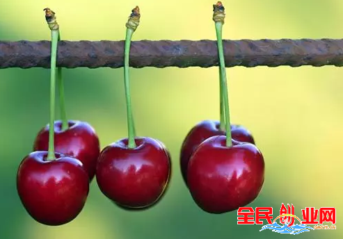 推荐几个适合穷人的农村小本创业好项目，投资小赚钱快!