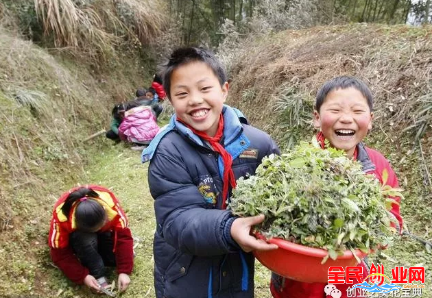 适合在小城市做的小本暴利项目，一个人就可以赚钱！