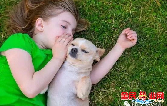 几个最新最暴利的偏门创业项目任何人都能做， 年收入10万+