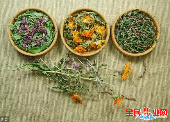 2023年5个农村创业机会，不要错过！