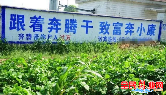 农村2个赚钱项目，干得好年入十万没问题