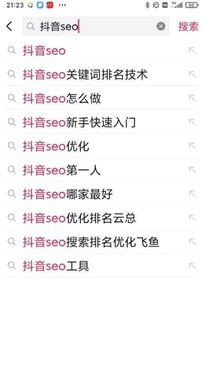 布局抖音SEO蓝海市场，让搜索流量暴涨