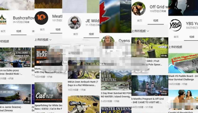 适合零基础新手，海外视频搬运赚钱项目