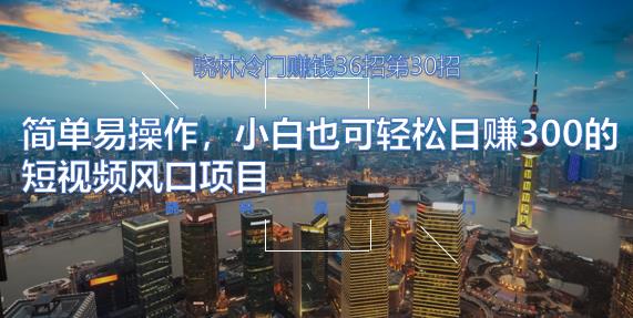 晓林冷门赚钱36招第30招简单易操作，小白也可轻松日赚300的短视频风口项目【视频课程】