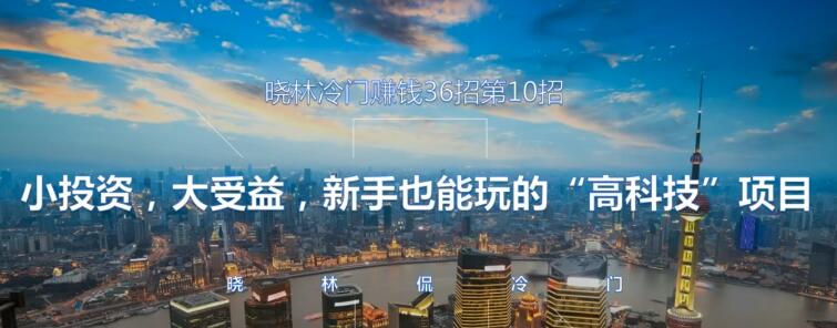 晓林冷门赚钱36招第10招小投资，大受益，新手也能玩的“高科技”项目【视频课程】