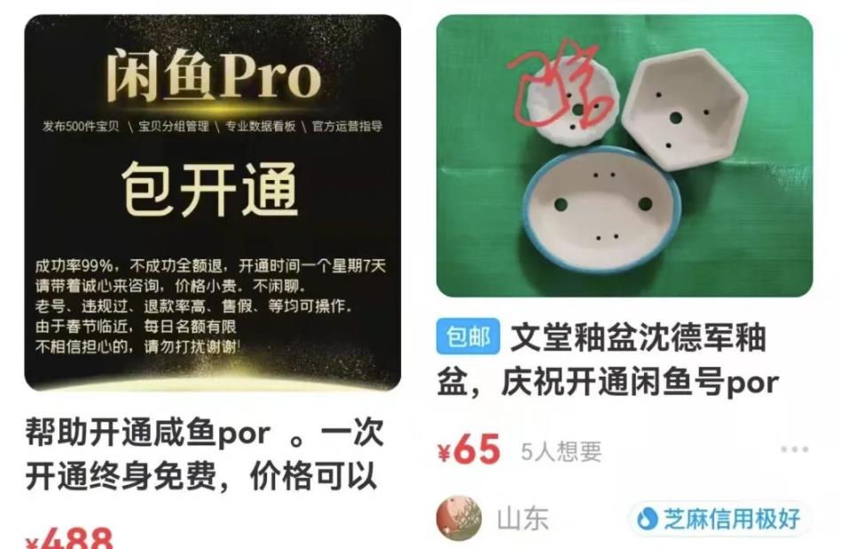 售价488的闲鱼开通PRO教程