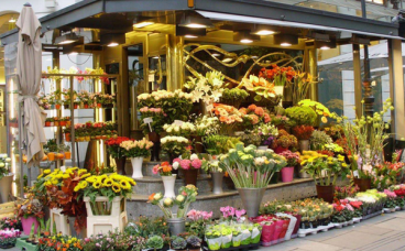 10个在中国小县城适合的独特生意，精选！