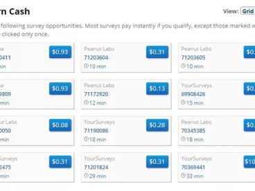 国外网赚：0成本撸美金的小项目，每天赚个奶茶钱！