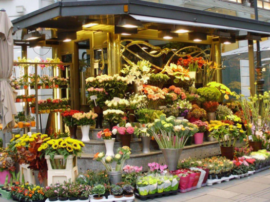 10个在中国小县城适合的独特生意，精选！