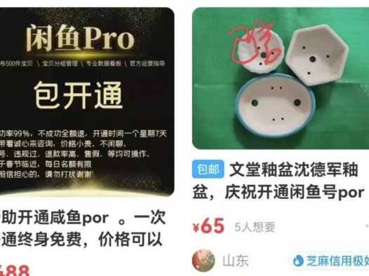 售价488的闲鱼开通PRO教程