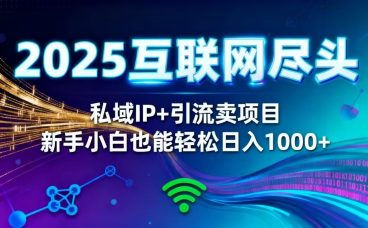 2025网创尽头王炸项目！私域 IP + 精准引流，新手小白在家躺赚日入 1000+