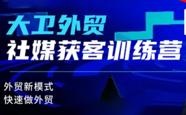 大卫老师·外贸社媒获客独家训练营(更新)